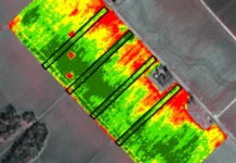 Primeiro mapa da saúde do solo da América Latina e Caribe revela caminhos para a sustentabilidade mapa