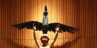 Incorporação de conhecimento tradicional e cultural ajuda a integrar novas gerações COP 16