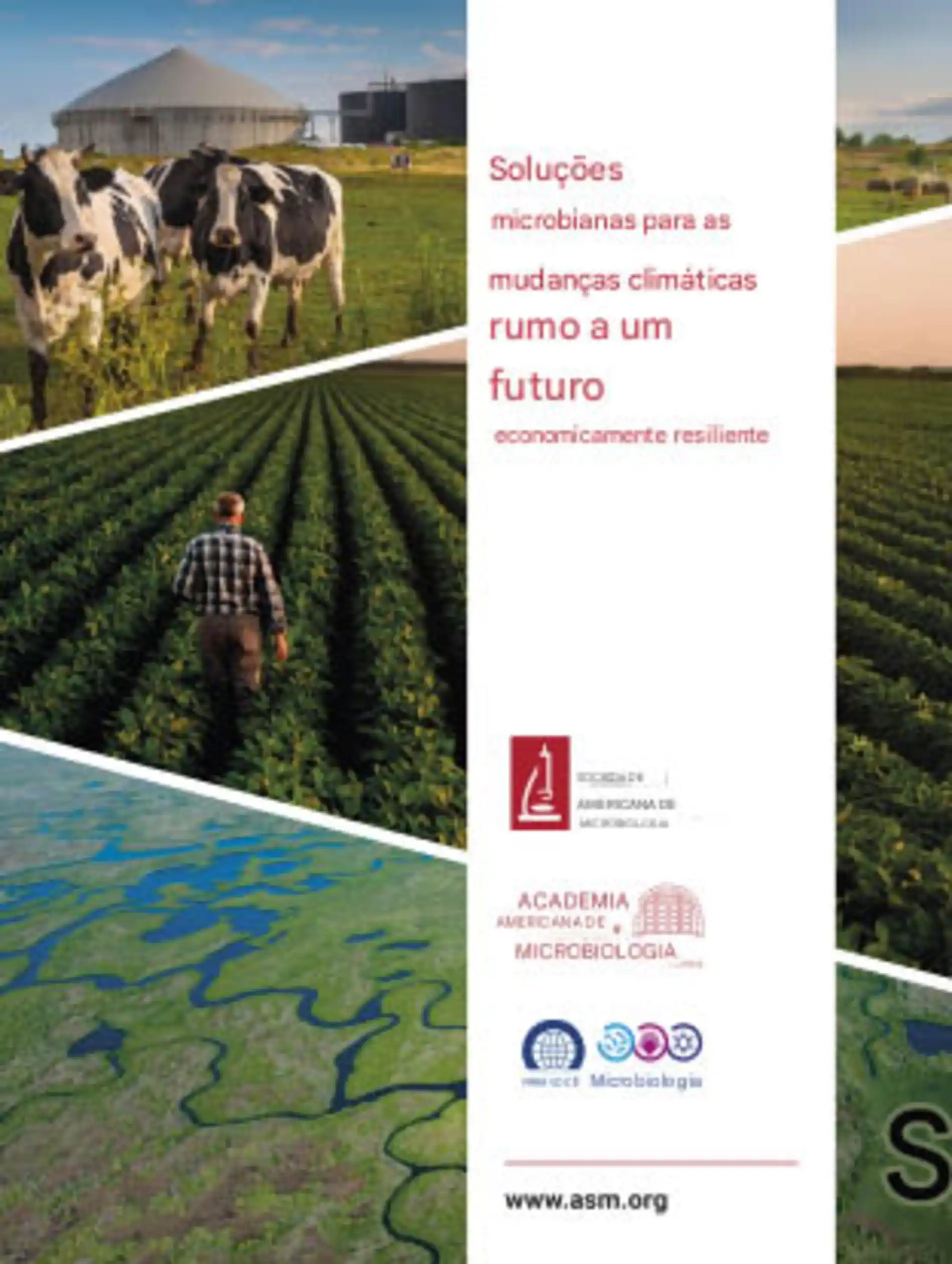 Inova__es_microbianas_para_combater_as_mudan_as_clim_ticas__SEM_LEGENDA Inovações microbianas para combater as mudanças climáticas