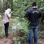 Justiça holandesa julga Norsk Hydro por contaminação no Pará, um caso de impunidade ambiental? Justiça holandesa julga a Norsk Hydro por contaminação no Pará. O caso expõe impactos ambientais e possíveis falhas na responsabilização