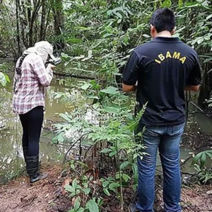 Justiça holandesa julga Norsk Hydro por contaminação no Pará, um caso de impunidade ambiental? Justiça holandesa julga a Norsk Hydro por contaminação no Pará. O caso expõe impactos ambientais e possíveis falhas na responsabilização