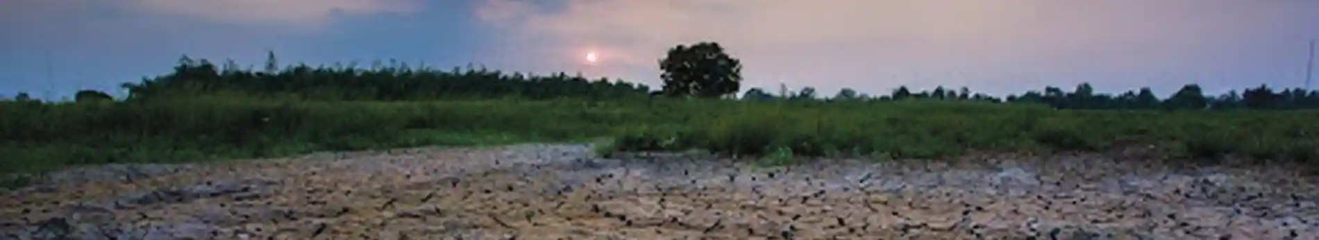 O sequestro de CO 2 compensa algumas das emiss es geradas pela atividade humana que2jpg