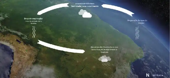 O vento a cerca de três quilômetros de altitude carrega umidade suficiente do oceano para a região para compensar o declínio da evapotranspiração