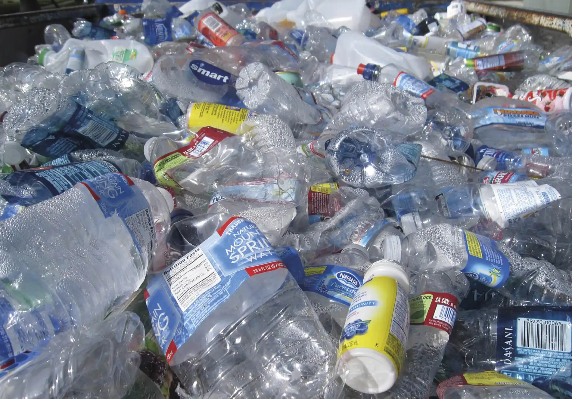 Inovações microbianas para combater as mudanças climáticas 6 Os micr bios cont m o ingrediente que faltava para combater a praga dos pl sticos