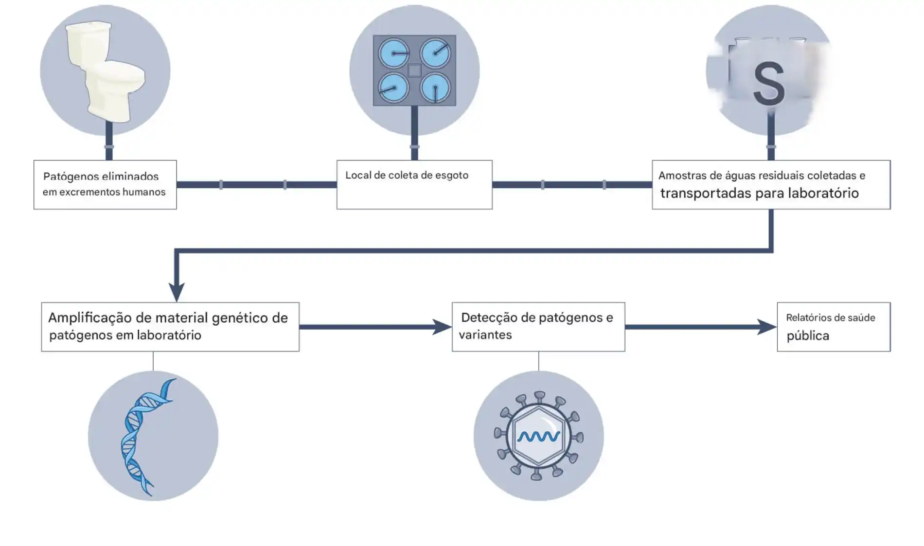 Os_pesquisadores_tamb_m_precisar_o_monitorar_os_sistemas_ao_longo_do_.-1-1 Inovações microbianas para combater as mudanças climáticas