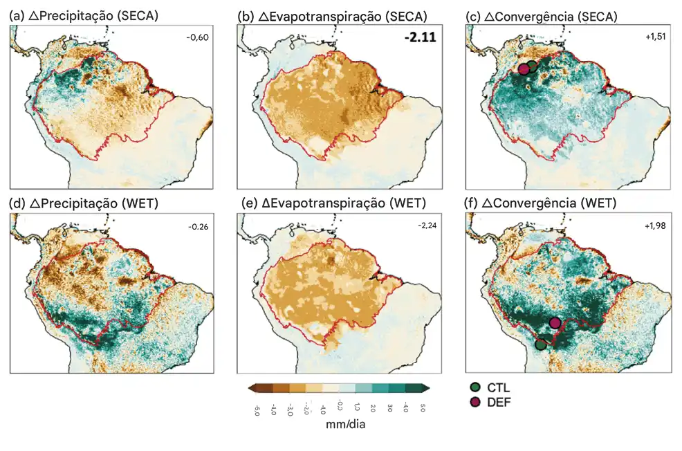 A floresta amazônica é mais resiliente do que se supõe