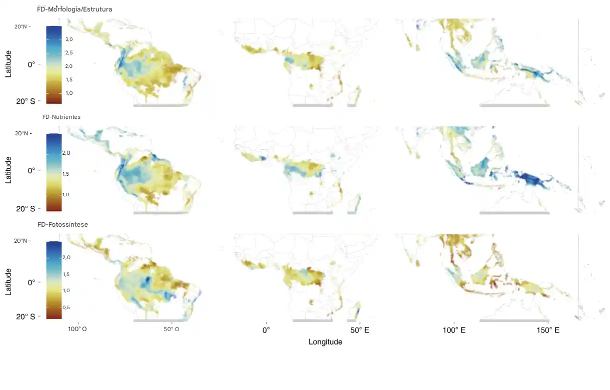 Florestas tropicais nas Américas estão lutando para acompanhar as mudanças climáticas 2 Previsões globais de diversidade funcional (FD) para características morfológicas/estruturais (painel superior), nutrientes foliares (painel do meio) e fotossintéticas (painel inferior) nas florestas tropicais e subtropicais secas e úmidas de folhas largas. As cores marrom escuro representam áreas onde a FD é mais baixa, marrom claro e azul claro onde a FD é intermediária e azul escuro onde a FD é prevista como mais alta