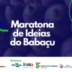 Maratona de Ideias sobre o Babaçu Busca Soluções para os Desafios das Quebradeiras de Coco Quebradeiras de Coco São Tema Central de Maratona de Ideias sobre o Babaçu