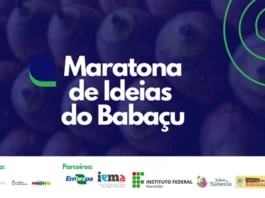 Quebradeiras de Coco São Tema Central de Maratona de Ideias sobre o Babaçu