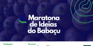 Quebradeiras de Coco São Tema Central de Maratona de Ideias sobre o Babaçu