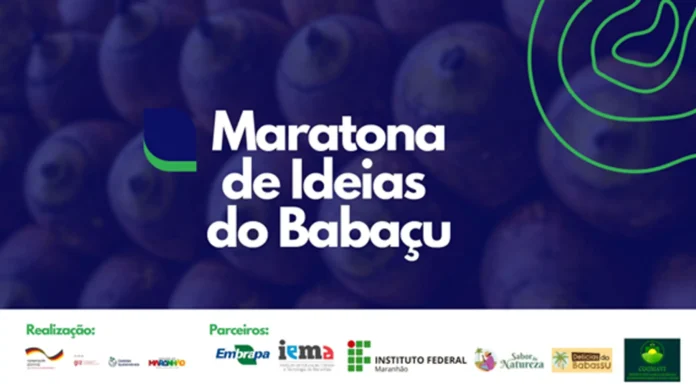 Quebradeiras de Coco São Tema Central de Maratona de Ideias sobre o Babaçu Quebradeiras de Coco São Tema Central de Maratona de Ideias sobre o Babaçu