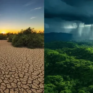 Estudo revela incertezas sobre seca e aumento de chuvas na Amazônia Amazônia