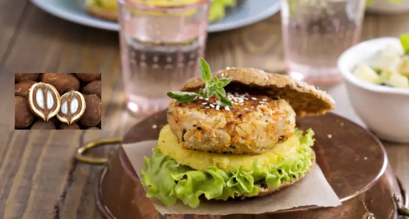 Coco babaçu vira base para hambúrguer nutritivo e sustentável 3 hambúrguer