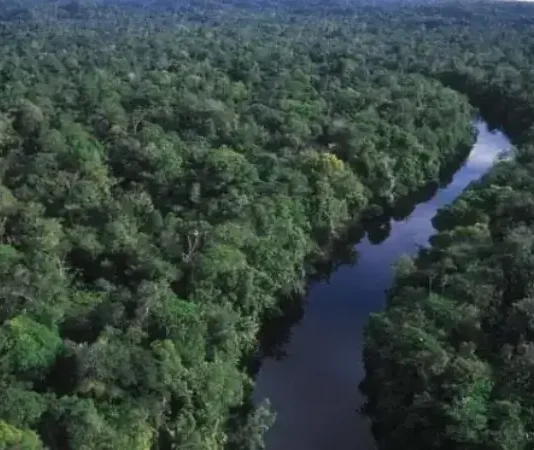 Amazônia