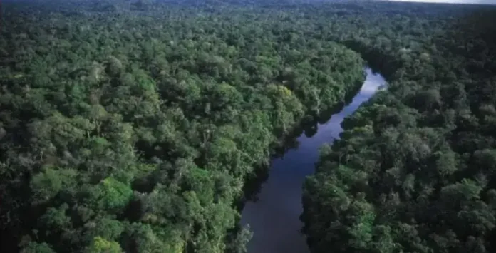 Amazônia