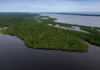 Governo Federal anuncia R$ 150 Milhões para recuperação da Amazônia em projetos de restauração produtiva restaura