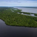 Governo Federal anuncia R$ 150 Milhões para recuperação da Amazônia em projetos de restauração produtiva restaura