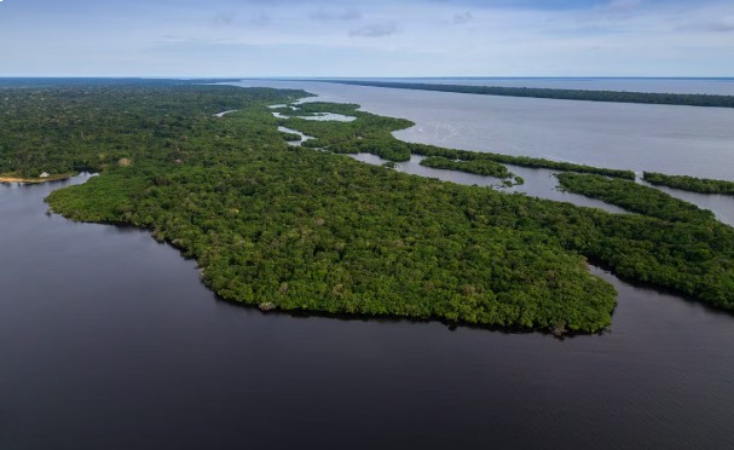 Governo Federal anuncia R$ 150 Milhões para recuperação da Amazônia em projetos de restauração produtiva 2 restaura