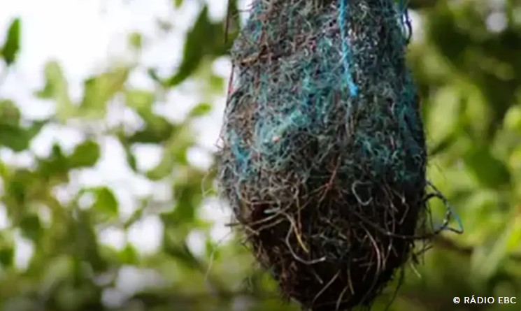 Screenshot 2025 03 27 125504