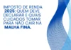 Imposto de Renda 2025: Quem deve declarar e quais cuidados tomar para não cair na malha fina imposto