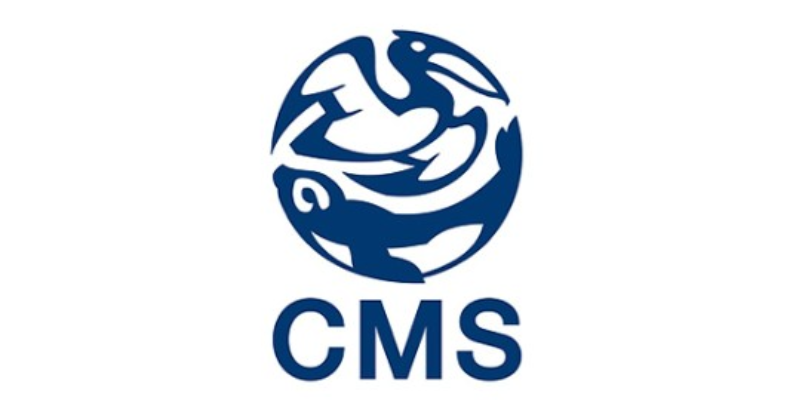 Screenshot-2025-03-28-191153 COP15 de Espécies Migratórias Silvestres será no Brasil em 2026