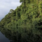 MMA apresenta resultados recordes do Fundo Clima e reforça combate à crise climática