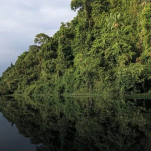 MMA apresenta resultados recordes do Fundo Clima e reforça combate à crise climática