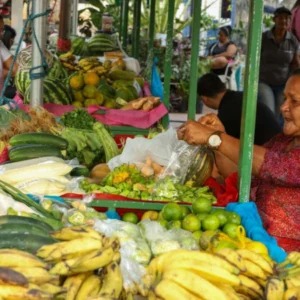 Acre lança programa pioneiro de agricultura regenerativa para impulsionar produção sustentável Acre