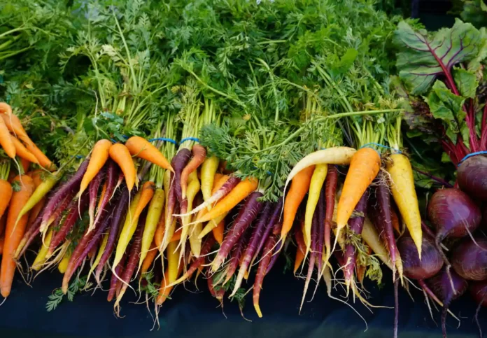 Sistemas_alimentares_resilientes,_preservando_a_integridade_das_paisagens_agroecol_gicas