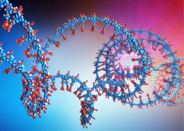 cover-e1613420585203 Enzima reverte envelhecimento celular em camundongos, possibilitando longevidade