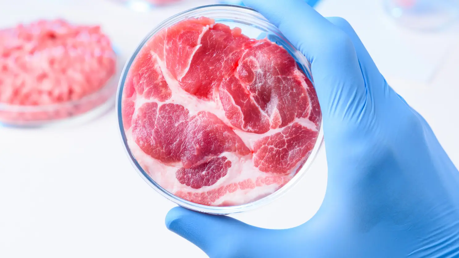 cultivo-de-celulas-e-carnes-de-laboratorio Carne de dinossauro cultivada em laboratório: ciência ressuscita sabores pré-históricos