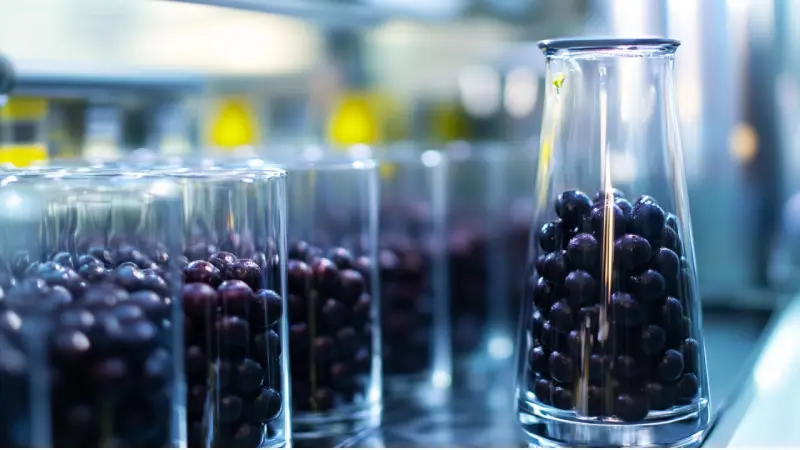 home-1-2 Pará se destaca na inovação sustentável onde açaí e tucumã viram biocombustível e asfalto ecológico