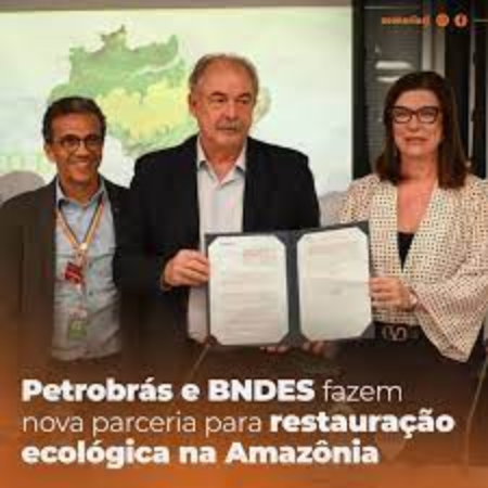 images-3-1 Petrobras investe R$ 450 milhões em créditos de carbono para reflorestamento na Amazônia