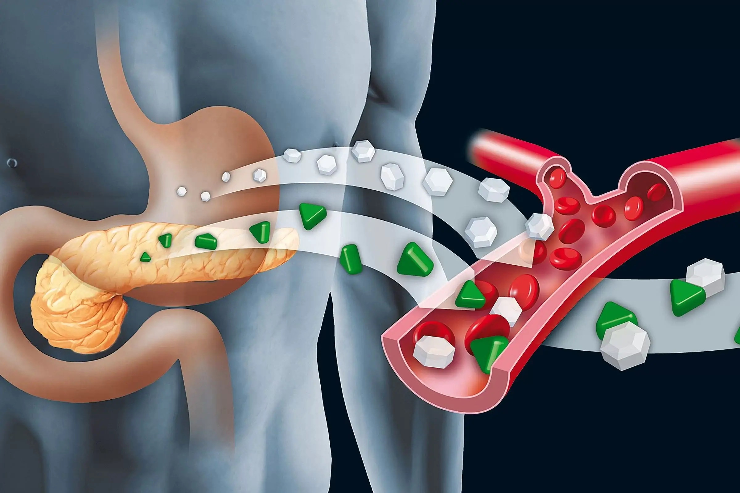 post_thumbnail-f69029ed62e4712461679653c6d3a4f7 Adoçante artificial eleva níveis de insulina e causa inflamação em vasos de camundongos, revela estudo