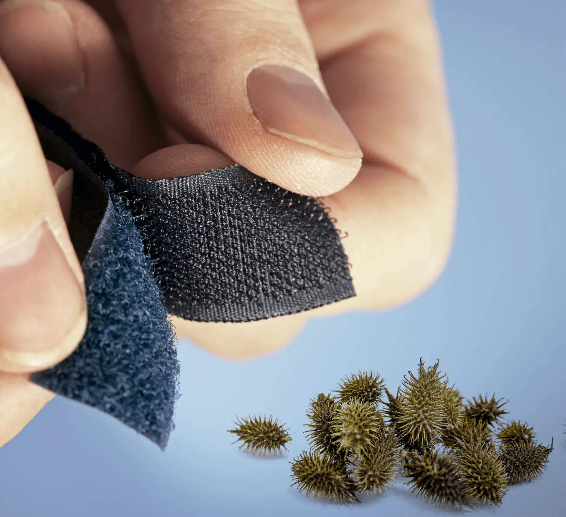 1-2 A Natureza como Inspiração para a Arquitetura, Engenharia e Design Funcional