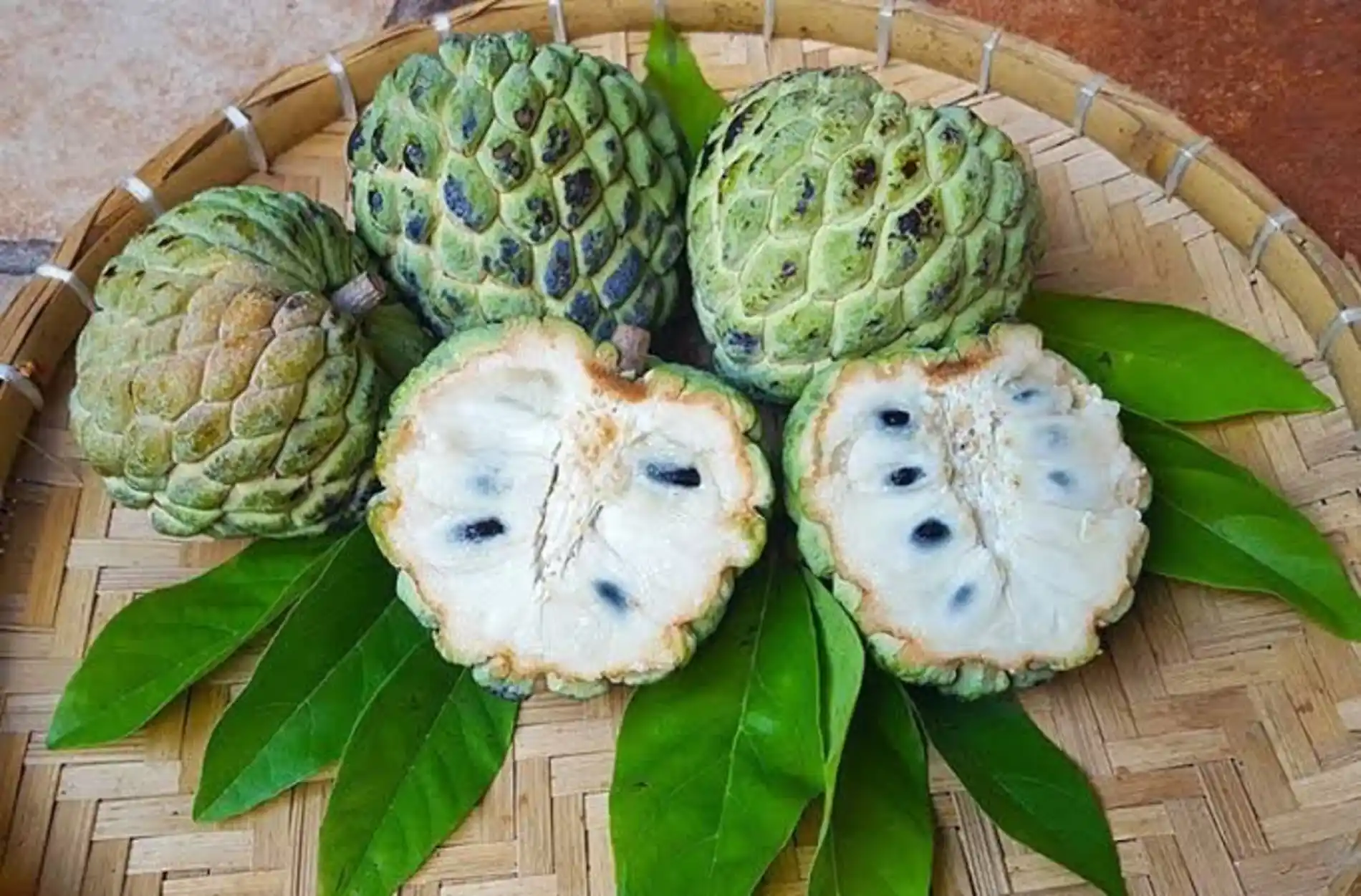 378f4894265ee319c8498719736519baa62dfc61