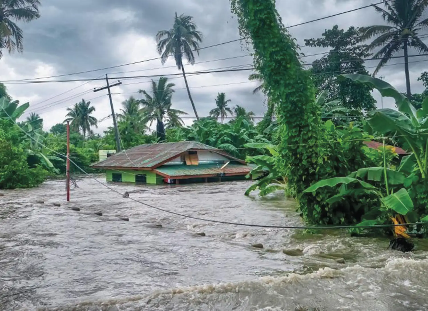 Chuvas torrenciais durante a estação das monções podem causar inundações e danos, mas muitas regiões tropicais dependem de chuvas fortes para a agricultura