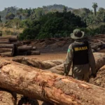 A Amazônia já sente os efeitos da crise climática. Seca, calor extremo e incêndios ameaçam ecossistemas e modos de vida tradicionais.