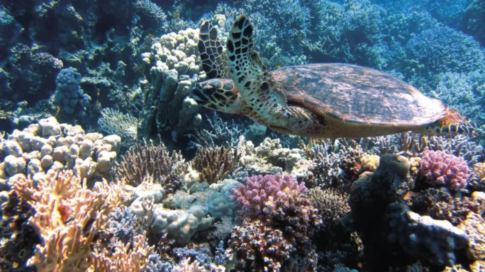 Mudança climática é hoje a maior ameaça à biodiversidade