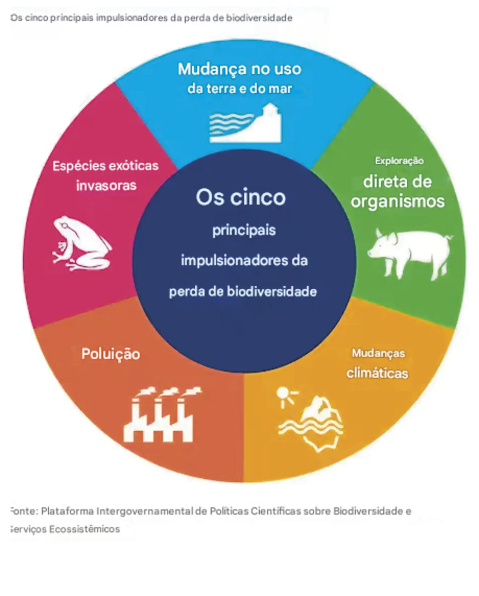 Biodiversidade_refere-se_a_toda_a_variedade_de_esp_cies_que_vivem_na_Terra_a_todas_as_ Alterações climáticas são agora a principal ameaça às espécies ameaçadas