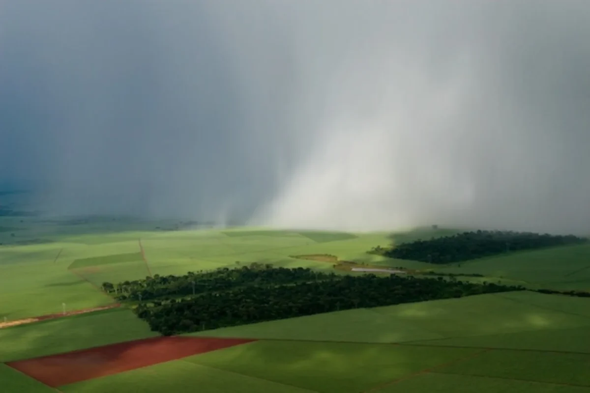 Chuva caindo em cima de campos de cana de açúcar, estado de São Paulo. Ela é essencial para nossa agricultura. Outros países dependem da irrigação: no Brasil, a chuva irriga os campos, de graça. Foto: Tiago