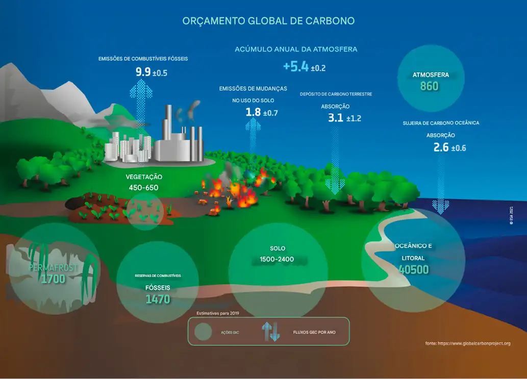 Ciclo_global_do_carbono._Dados_da_miss_o_Biomass_reduzir_o_as Sonda espacial mapeará em 3D as florestas tropicais da Terra