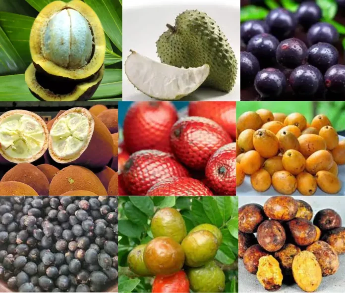 Frutas nativas da Amazônia em compotas, sorvetes e sobremesas