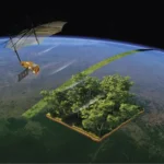 Sonda espacial mapeará em 3D as florestas tropicais da Terra Esta nave espacial de 1,25 toneladas, equipada com um radar de abertura sintética de banda P pioneiro e uma antena de 12 metros, orbitará a Terra por cinco anos. Sua missão é criar mapas 3D detalhados de florestas tropicais remotas na África, Ásia e América do Sul, penetrando copas densas para analisar a vegetação e coletar dados sobre o armazenamento de carbono