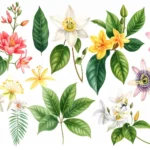 Os aromas naturais da floresta e sua aplicação Perfumes da floresta os aromas que inspiram a humanidade
