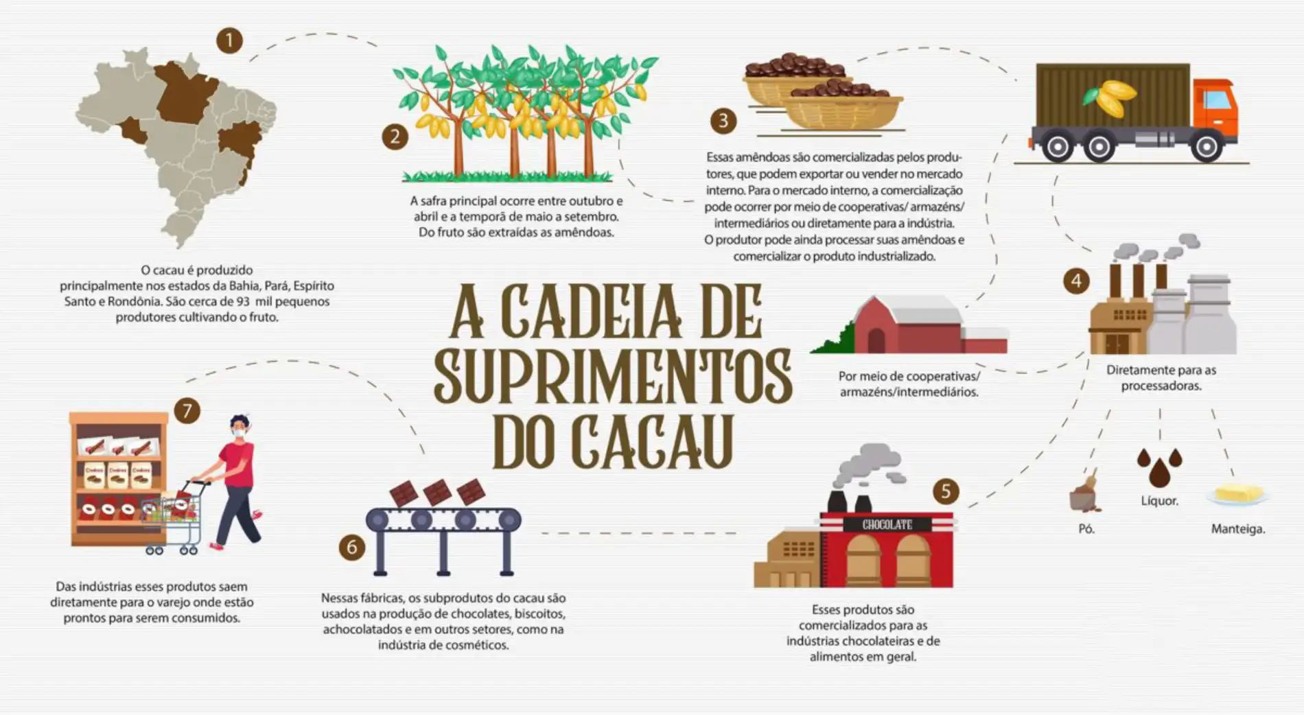 Info-Cadeia-Produtiva-V4-2-1200x658-1 O futuro do cacau amazônico do cultivo sustentável à gourmetização global