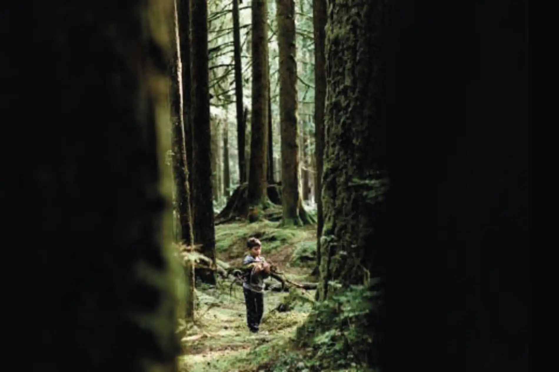 O_amor_pela_natureza_faz_com_que_as_pessoas_queiram_proteg_-la Seis desafios para alcançar o zero líquido e superá-los