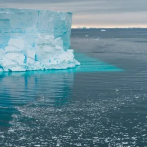 Iceberg antártico enorme se desprende e revela ecossistema submarino próspero