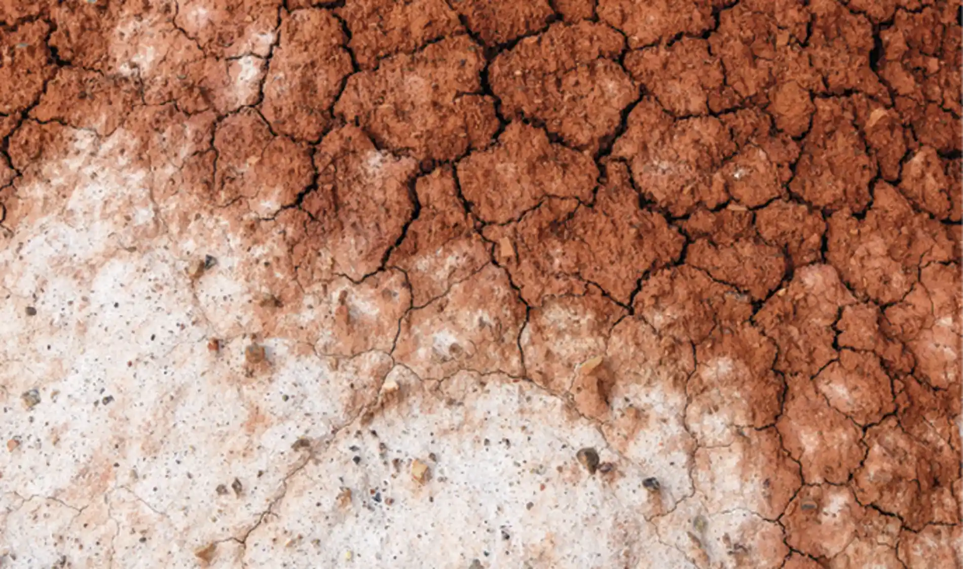Pesquisas_inovadoras_revelam_que_o_simples_contraste_entre_manchas_de_solo__mido_e_seco_pode_amplificar_a_ Sinais ocultos da Terra são sinais de alertas para bilhões em risco
