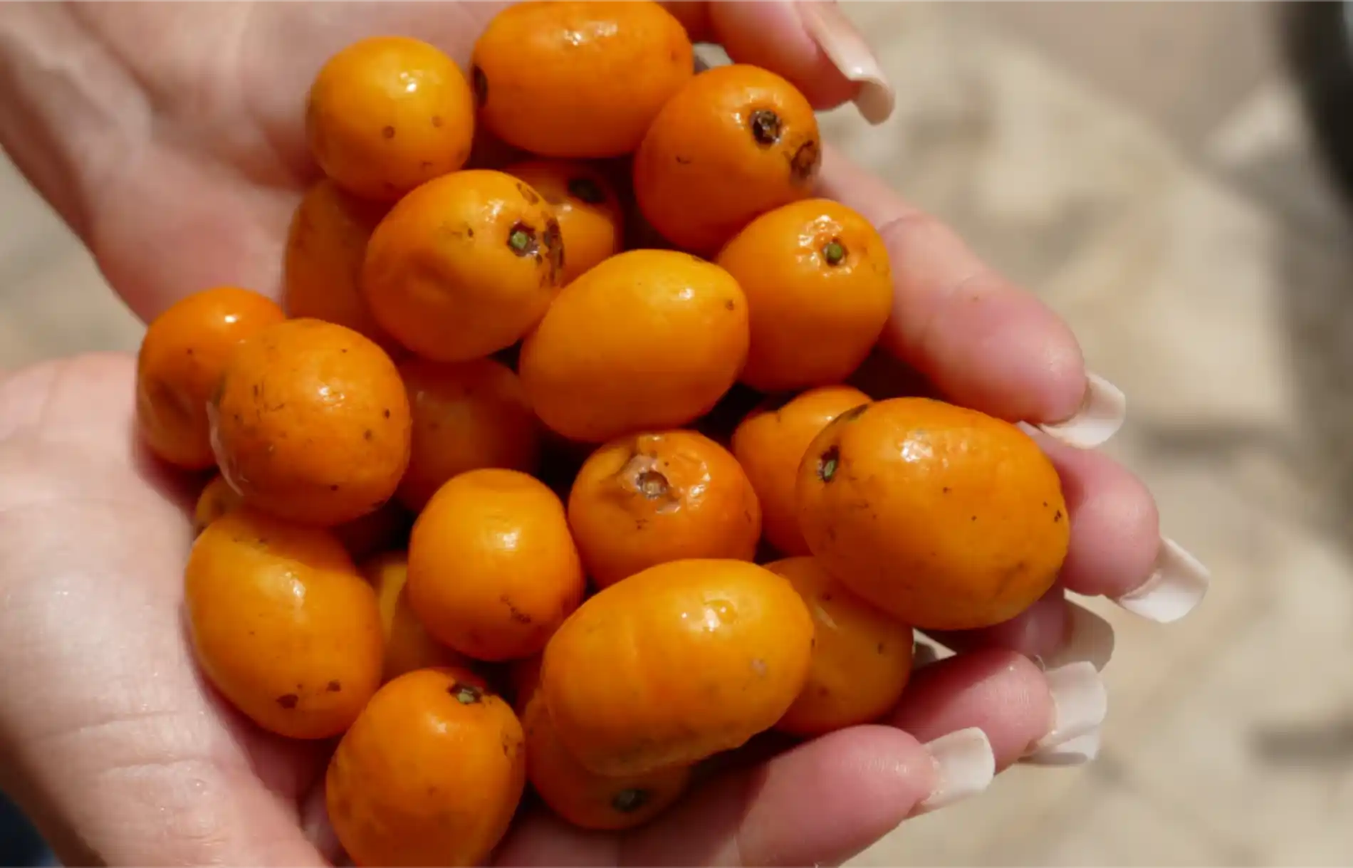 Rectangle 39961 bbb6ab09 c61d 401d bce9 75ee18cfd233 1